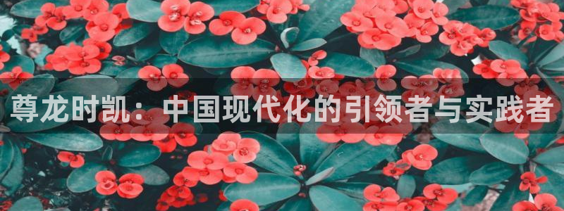 彩名堂-ng大舞台,有梦你就来：尊龙时凯：中国现代化的引领者与实践者
