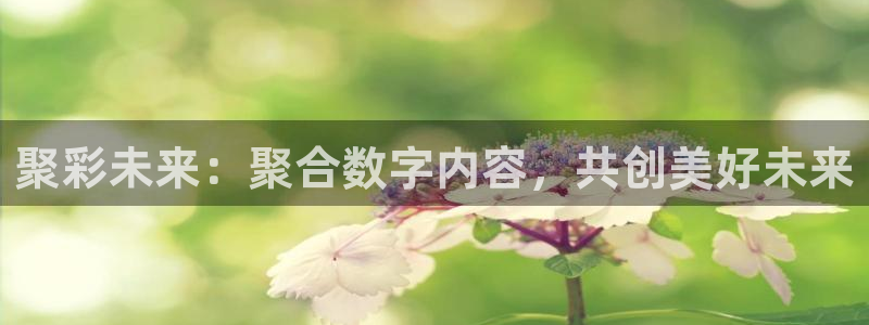 彩名堂,com：聚彩未来：聚合数字内容，共创美好未来